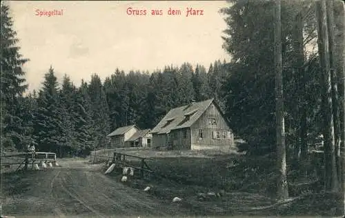 Ansichtskarte Hahnenklee-Bockswiese-Goslar Spiegeltal 1905