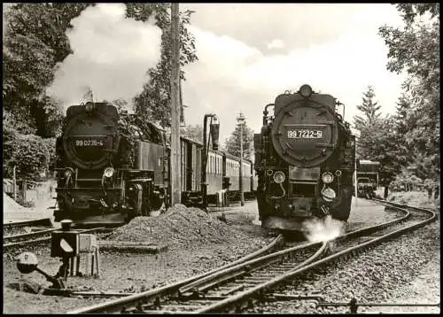 Ansichtskarte Drei Annen Hohne-Wernigerode Harzquerbahn im Bahnhof 1982