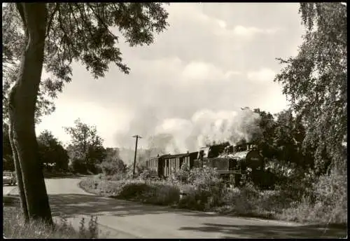 Ansichtskarte Göhren (Rügen) Kleinbahn auf der Insel Rügen 1981
