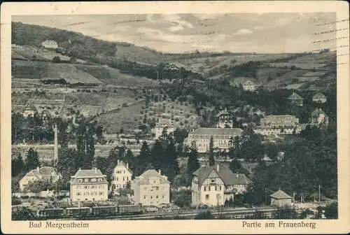 Ansichtskarte Bad Mergentheim Partie am Frauenberg, Bahnstation 1929