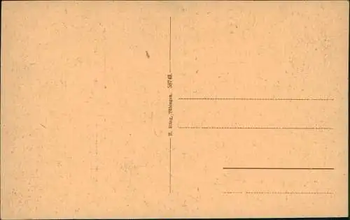 Ansichtskarte Tübingen Schloß u. Neckar 1922