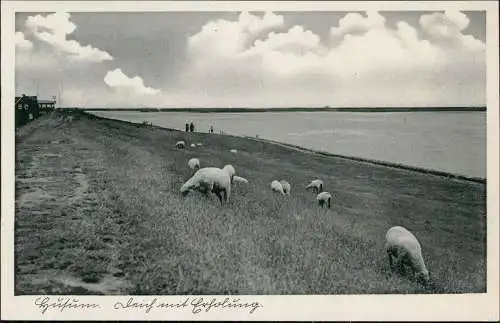 Ansichtskarte Husum Deich mit Erholung 1924