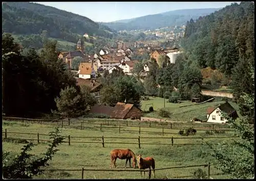 Heimbuchenthal (Spessart Unterfranken)   Pferde, Ort im Naturpark Spessart 1980