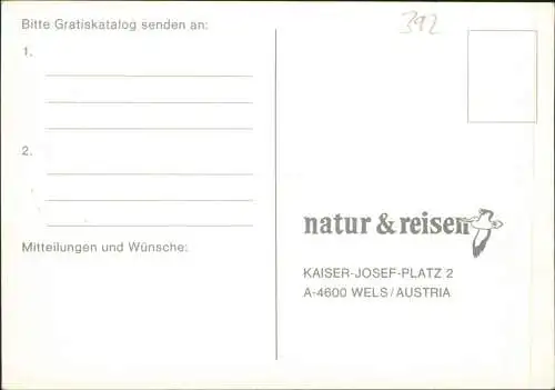 Ansichtskarte  Reklame & Werbung natur & reisen WELS/AUSTRIA 1980