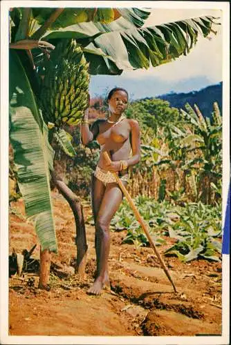 Südafrika Erotik (Nackt - Nude) South Afrika Frau an Bananenstaude 1968