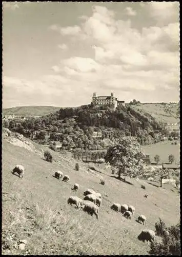 Ansichtskarte Eichstätt Willibaldsburg, Schafherde am Hang 1968