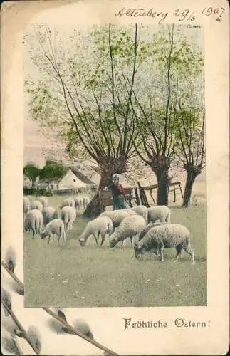 Ansichtskarte  Ostern / Eastern Weidenkätzchen Frau und Lämmer 1907