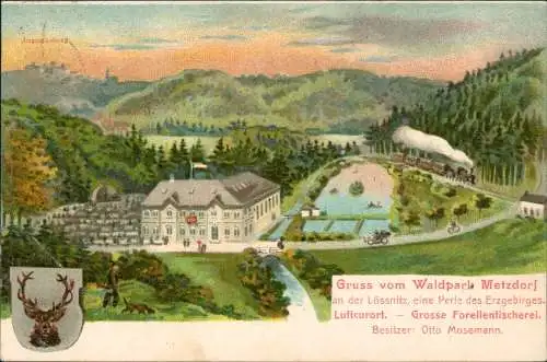 Metzdorf-Leubsdorf Sachsen Gruss vom Waldpark Metzdorf Lössnitz Erzgebirge 1906