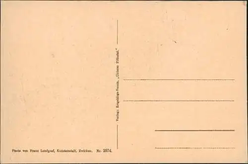 Metzdorf-Leubsdorf (Sachsen) Umland-Ansicht Unteres Flöhatal 1920