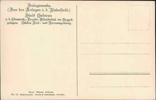 Ansichtskarte Oederan Dorfpartie; Aus den Anlagen i. d. Unterstadt 1910