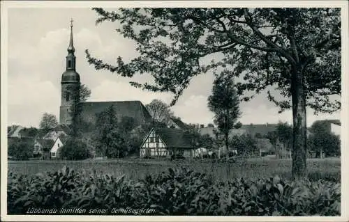 Lübbenau (Spreewald) Lubnjow Lübbenau inmitten seiner Gemüsegärten 1935
