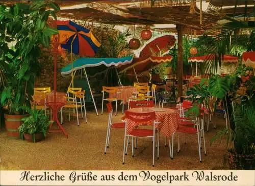 Ansichtskarte Walsrode Tropencafe in der Paradieshalle Vogelpark 1975