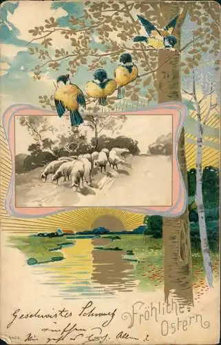 Ostern / Eastern Spatzen Schafherde Goldsonne 1903 Goldrand/Prägekarte