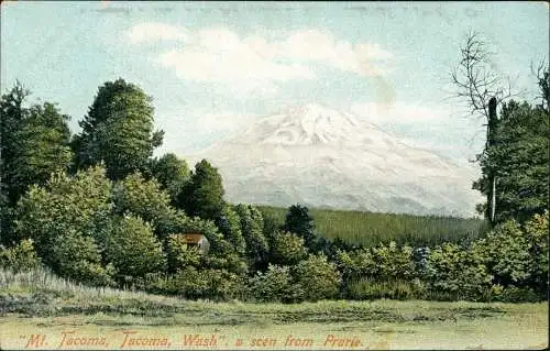 Postcard Tacoma "Mt. Tacoma, Wash a scen from Prarie 1908