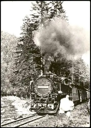 Kipsdorf-Altenberg (Erzgebirge) Schmalspurbahn Freital-Hainsberg Kipsdorf c1983