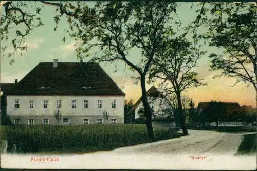 Ansichtskarte Elsnig Straßenpartie Plants-Haus, Fösterei 1915