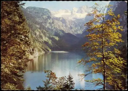 Ansichtskarte Dachstein Gosausee mit Dachstein, 3004 m 1964