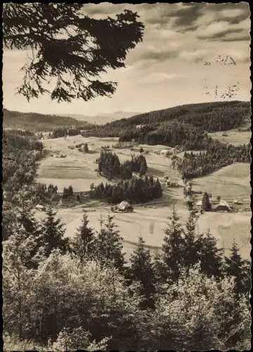 Schwarzwald (Allgemein) Schwarzwaldhochstraße - Stimmungsbild 1960