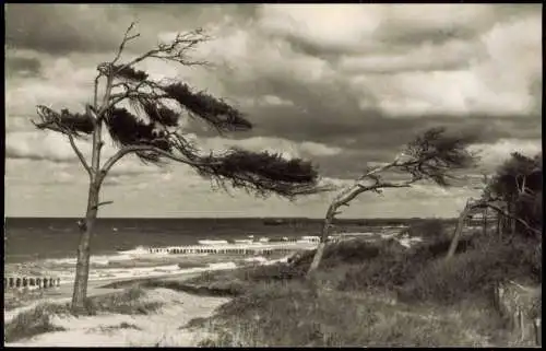 Ansichtskarte Graal-Müritz Strandpartie Fotokarte 1965