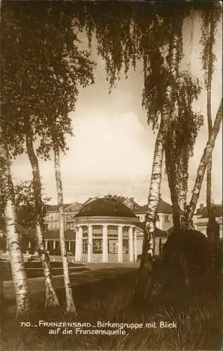 Franzensbad Františkovy Lázně Birkengruppe mit Blick auf die Franzensquelle 1925