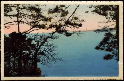 CPA Dinard Panorama-Ansicht Vue prise de la Vicomté 1950