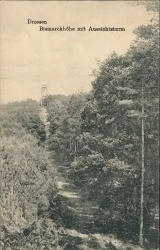 Postcard Drossen Ośno Lubuskie Bismarckhöhe mit Aussichtsturm 1924