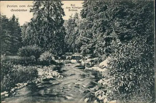 Ansichtskarte Reinsberg (Sachsen) Grabentour bei den Königsfichten 1918
