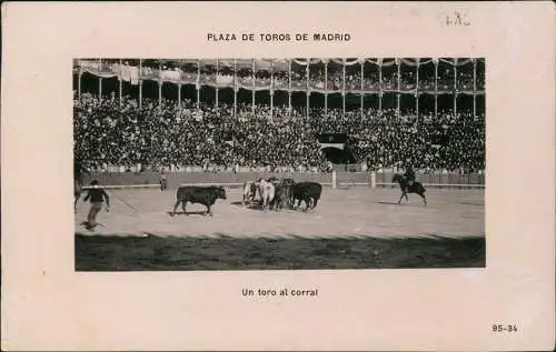 Postales Madrid Stierkampf PLAZA DE TOROS Un toro al corral 1928
