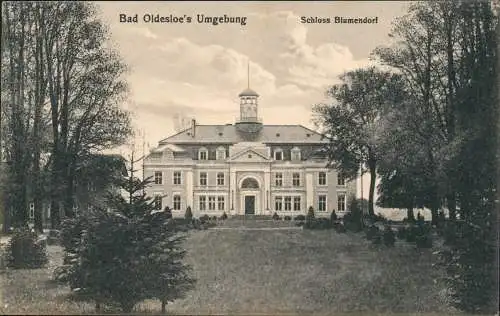 Ansichtskarte Bad Oldesloe Schloss Blumendorf 1917