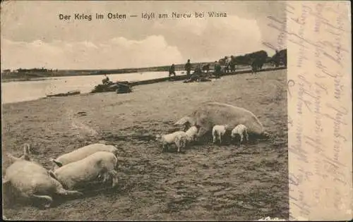 Ostpreußen Der Krieg im Osten Idyll am Narew bei Wisna 1916  Feldpoststempel