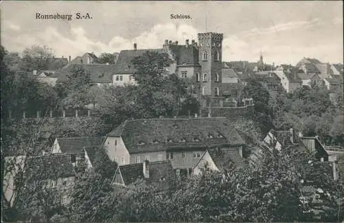 Ansichtskarte Ronneburg (Thüringen) Stadtpartie mit Schloß 1913