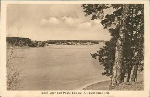 Grünheide (Mark) Blick über den Peetz-See auf Alt-Buchhorst 1925