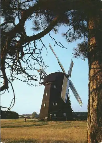 Ansichtskarte Alt Schwerin Agrarhistorisches Museum, Erdholländermühle 1988