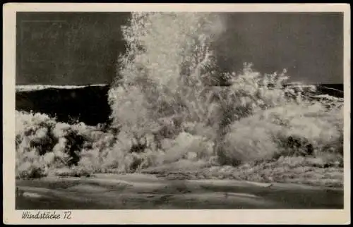 Postcard Dievenow Dziwnów OSTSEEBAD WALD-DIEVENOW 1936   gelaufen mit Stempel