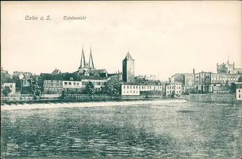 Ansichtskarte Calbe (Saale) Blick über die Saale auf die Stadt 1911