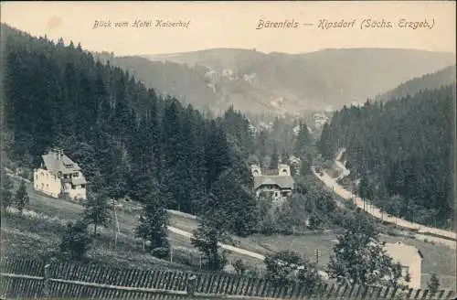 Bärenfels (Erzgebirge)-Altenberg (Erzgebirge) Blick vom Hotel Kaiserhof 1911