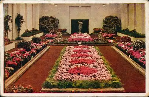 Ansichtskarte Dresden Gartenbau-Ausstellung Saal Naturfarben 1936