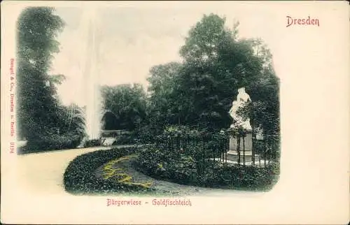 Ansichtskarte Dresden Bürgerwiese Goldfischteich teilcoloriert 1907