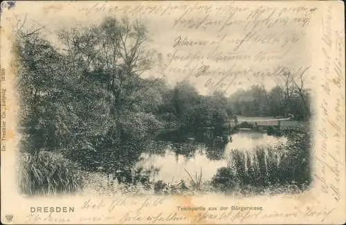 Ansichtskarte Dresden Teichpartie aus der Bürgerwiese 1903