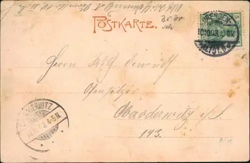 Ansichtskarte Dresden Teichpartie aus der Bürgerwiese 1903