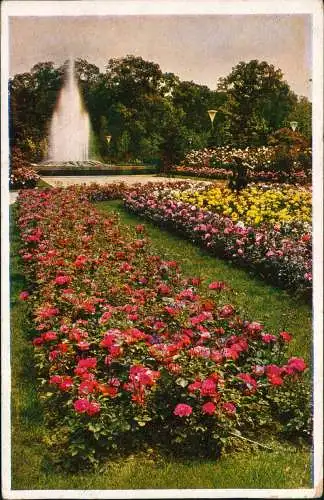 Dresden Reichsgartenschau - Teilstück Rosengarten Naturfarbenfotografie 1936