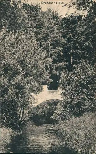 Ansichtskarte Dresdner Heide-Dresden Dresdener Heide, Brücke 1922