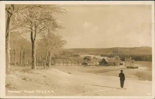 Ansichtskarte Hermsdorf Erzgebirge Skiläufer, Stadt im Winter 1933