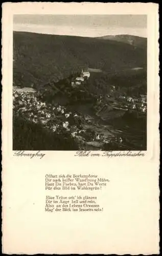 Schwarzburg Panorama-Ansicht Blick vom Trippsteinhäuschen Trippstein 1930
