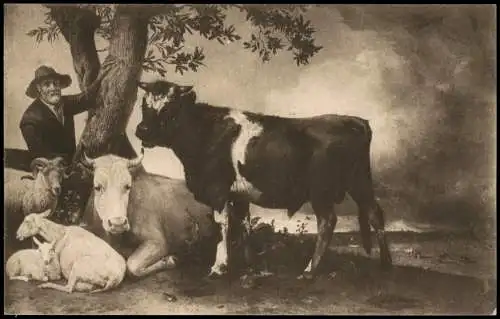 Künstlerkarte Mauritshuis 's Gravenhage: PAULUS POTTER Der junge Stier 1930