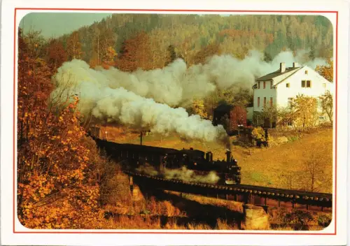 Preßnitztalbahn: Schmalspurbahn Wolkenstein-Jöhstadt Dampflokomotive 1985