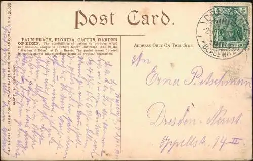 Postcard West Palm Beach Cactus Garden of Eden - Kaktus 1916
