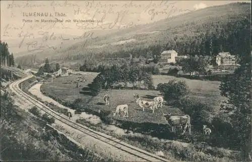 Ansichtskarte Ilmenau Partie im Manebachtal mit Waldschlösschen 1911
