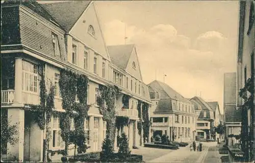 Ansichtskarte Bad Gottleuba-Bad Gottleuba-Berggießhübel Männerhäuser 1918