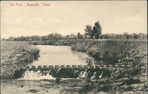 Postcard Natal The River Newcastle 1911  Südafrika Southafrika